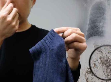 Aspergillus mantarı neden olur? Aspergillus mantarından nasıl korunulur? Aspergillus mantarı neden olur? Aspergillus mantarından nasıl korunulur?