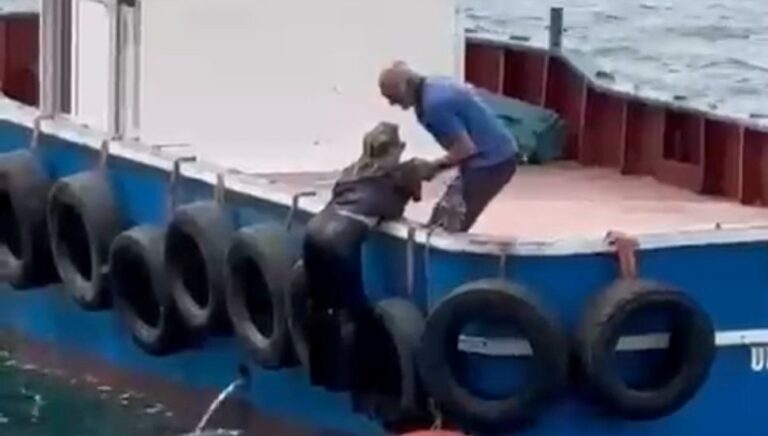 Kartal’da vapurdan denize düşen kadını balıkçılar kurtardı Kartal’da vapurdan denize düşen kadını balıkçılar kurtardı