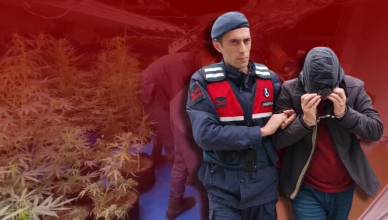 YouTube’dan izledi, evini uyuşturucu tarlasına çevirdi YouTube’dan izledi, evini uyuşturucu tarlasına çevirdi