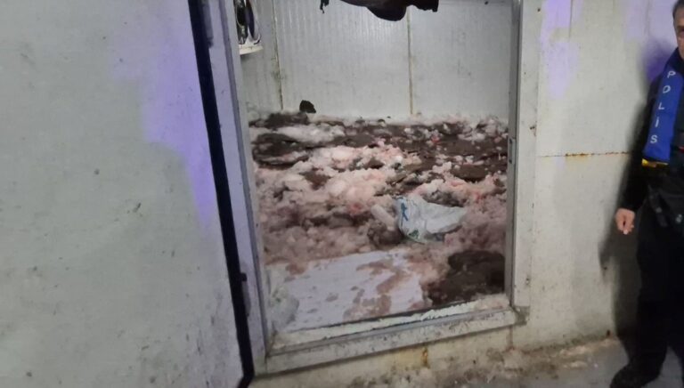 6 ton kaçak avlanan kalkan ele geçirildi 6 ton kaçak avlanan kalkan ele geçirildi
