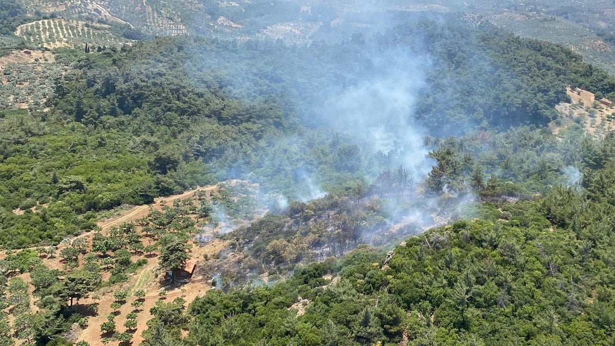 Aydın’da orman yangını başladı, ekipler seferber edildi Aydın’da orman yangını başladı, ekipler seferber edildi