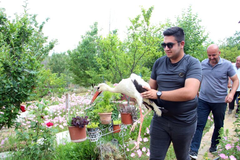 Bahçelerine düşen yaralı leyleğe sahip çıkıp, balıkla beslediler Bahçelerine düşen yaralı leyleğe sahip çıkıp, balıkla beslediler