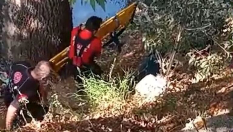 Balık tutmak isterken 15 metre yükseklikten düştü Balık tutmak isterken 15 metre yükseklikten düştü