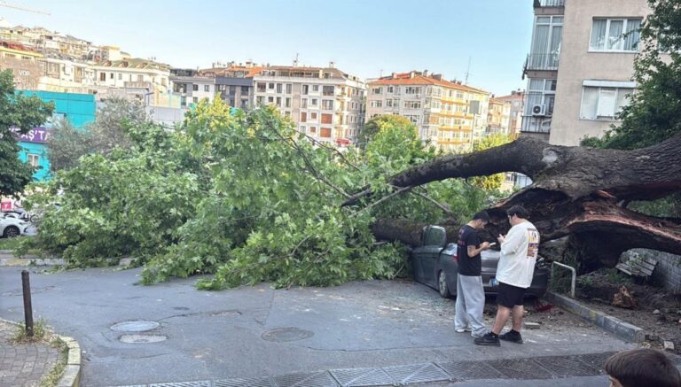 Beşiktaş’ta 150 yıllık ağaç, 3 otomobili hurdaya çevirdi Beşiktaş’ta 150 yıllık ağaç, 3 otomobili hurdaya çevirdi
