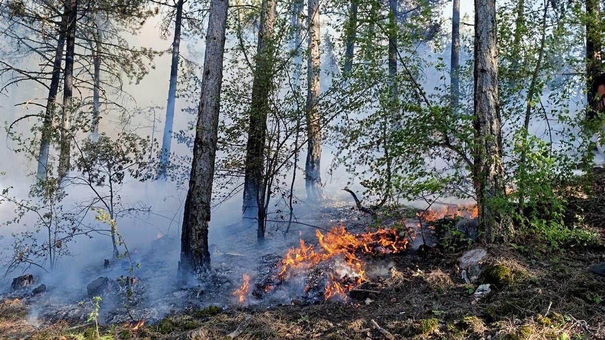Bolu’da orman yangını Bolu’da orman yangını