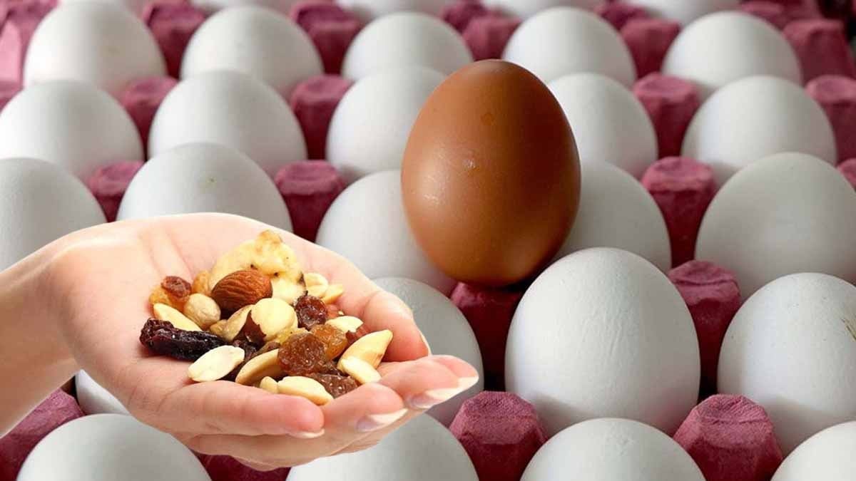 Bu 3 kuruyemiş yumurta kadar tok tutuyor! Beslenme uzmanları tek tek açıkladı Bu 3 kuruyemiş yumurta kadar tok tutuyor! Beslenme uzmanları tek tek açıkladı