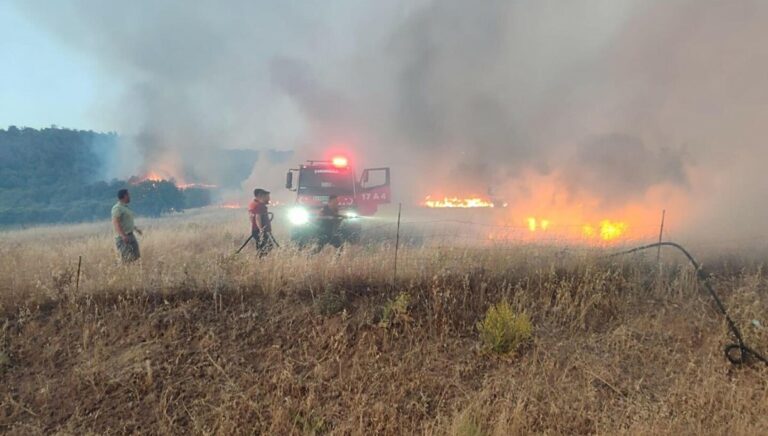 Çanakkale’deki orman yangınlarında 6 gözaltı Çanakkale’deki orman yangınlarında 6 gözaltı