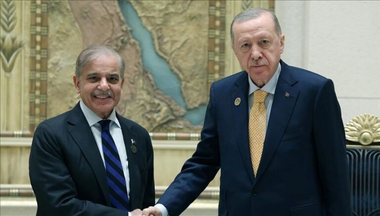 Cumhurbaşkanı Erdoğan, Pakistan Başbakanı Şerif ile görüştü Cumhurbaşkanı Erdoğan, Pakistan Başbakanı Şerif ile görüştü