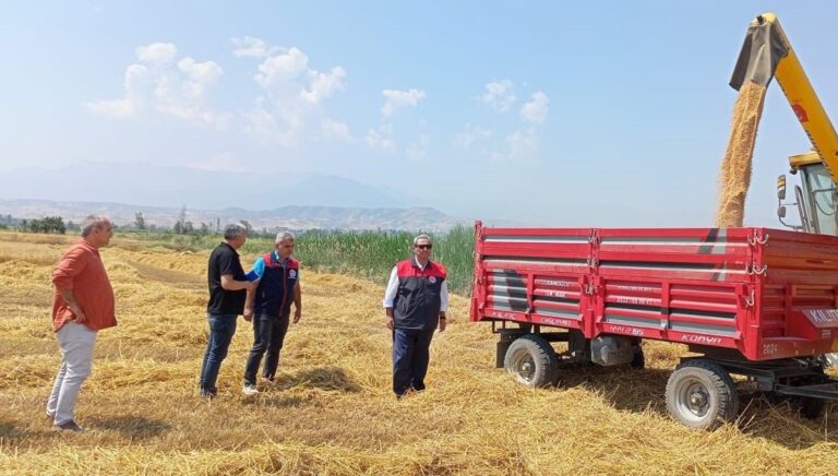 Denizli’de buğday hasadı başladı Denizli’de buğday hasadı başladı
