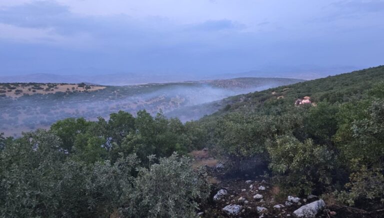 Diyarbakır’da örtü yangını Diyarbakır’da örtü yangını