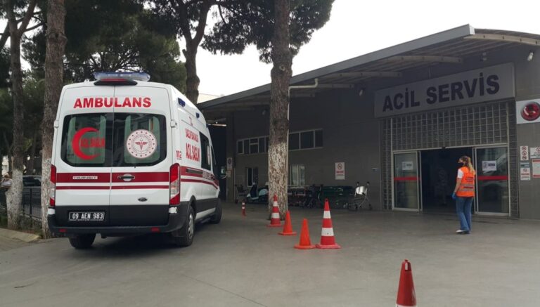 Elektrik akımına kapılan çift hayatını kaybetti Elektrik akımına kapılan çift hayatını kaybetti