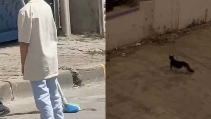 Havalar ısınınca ortaya çıktı: İstanbul’da yedi ilçedeki vatandaşlar tedirgin Havalar ısınınca ortaya çıktı: İstanbul’da yedi ilçedeki vatandaşlar tedirgin