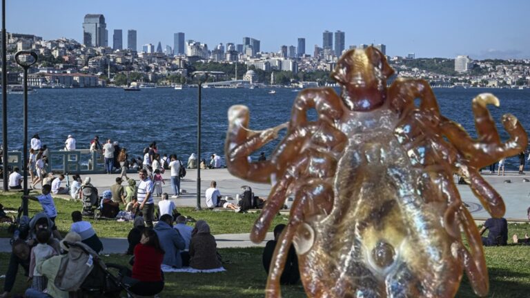 İstanbul’da tedirgin eden artış: Ense, koltuk altı ve diz arkalarına dikkat! İstanbul’da tedirgin eden artış: Ense, koltuk altı ve diz arkalarına dikkat!