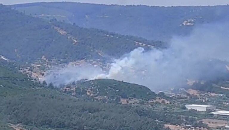 İzmir’de orman yangını İzmir’de orman yangını