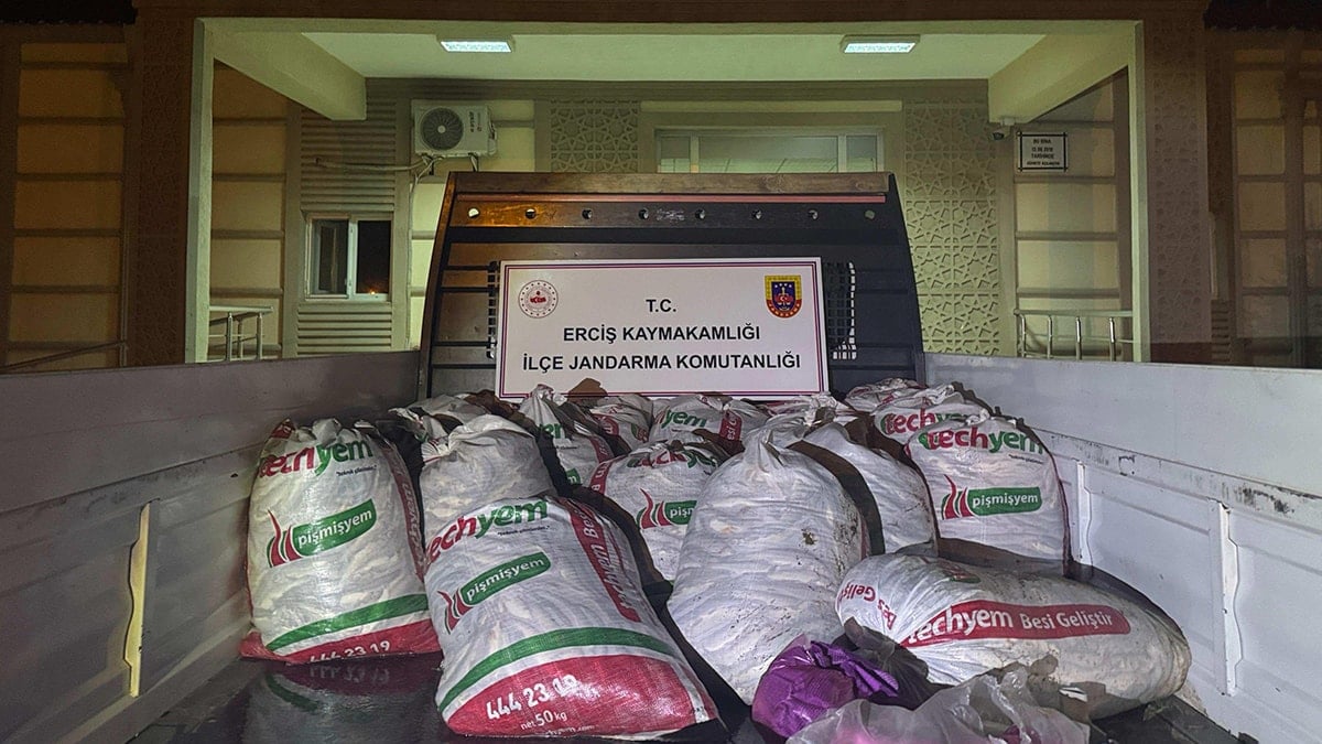 Kaçak avlanan 2 ton inci kefali ele geçirildi Kaçak avlanan 2 ton inci kefali ele geçirildi