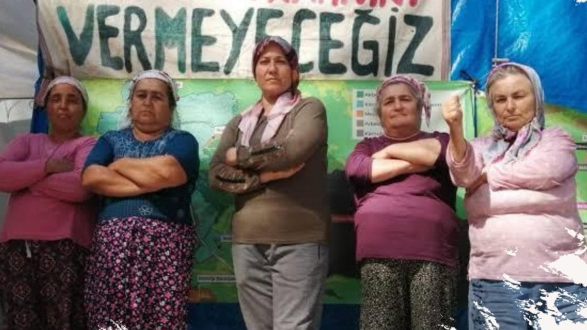 Köylüler zeytinlik için Ankara’ya gidiyor Köylüler zeytinlik için Ankara’ya gidiyor
