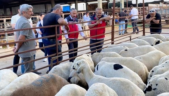 Kurbanlık hayvan satışı sıkı denetimde Kurbanlık hayvan satışı sıkı denetimde