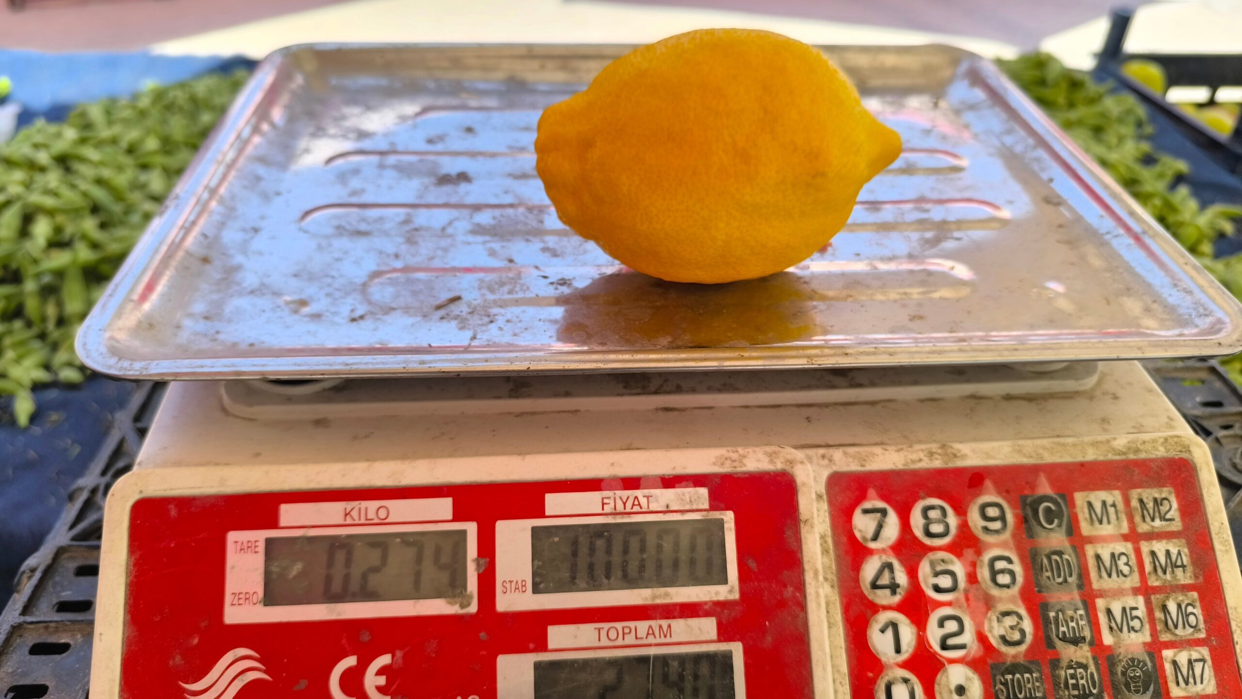 Limonun suyu çıktı: Tanesi 27 lira Limonun suyu çıktı: Tanesi 27 lira