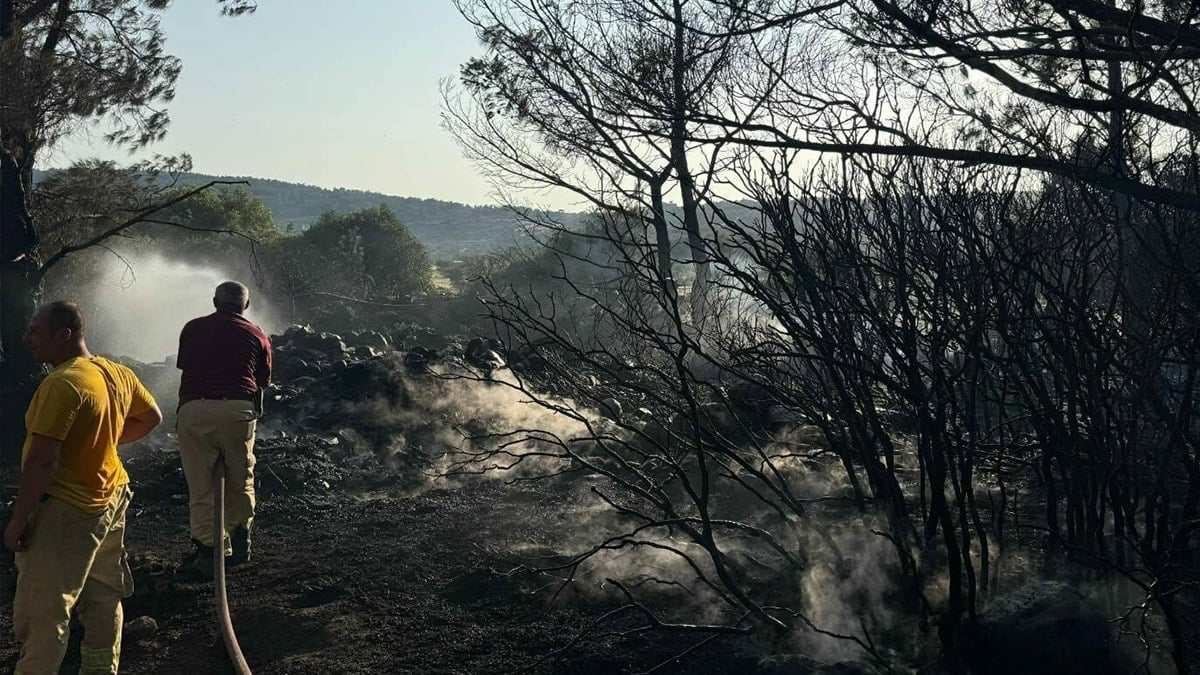 Mangal yaparken ormanı küle çevirdi Mangal yaparken ormanı küle çevirdi
