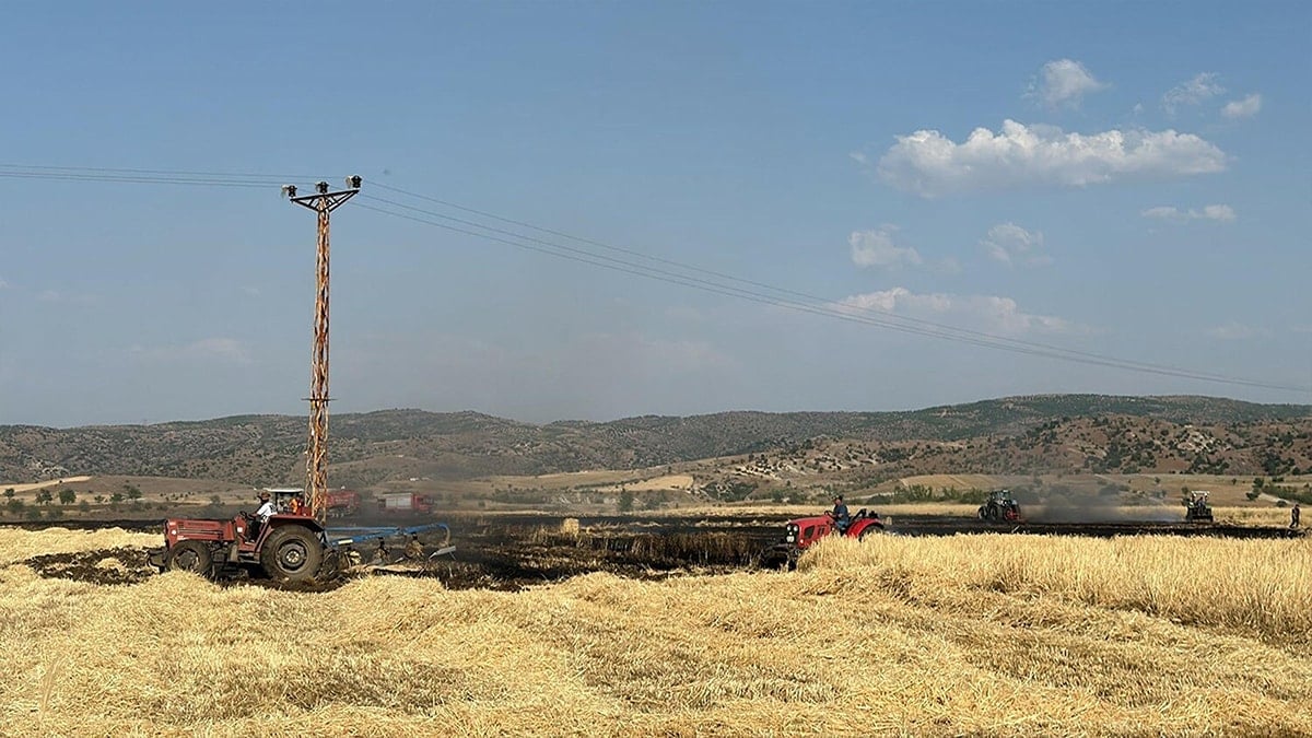 Manisa’da peş peşe yangınlar Manisa’da peş peşe yangınlar