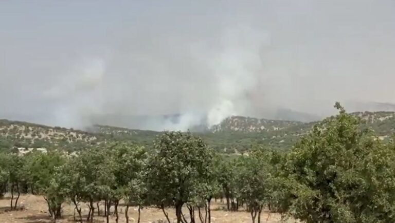 Mardin’de orman yangını: Rüzgarın etkisiyle yayıldı Mardin’de orman yangını: Rüzgarın etkisiyle yayıldı