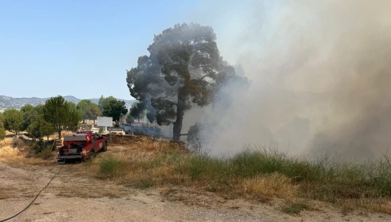 Muğla’da orman yangını Muğla’da orman yangını