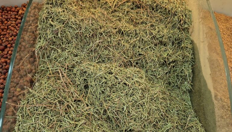 Ölüme kadar götürüyor: Yaz ayları gelince internette satışı arttı Ölüme kadar götürüyor: Yaz ayları gelince internette satışı arttı