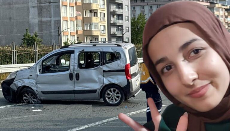 Otomobile arı girdi, iki kardeş hayatını kaybetti Otomobile arı girdi, iki kardeş hayatını kaybetti