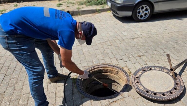 Şehri haşereler bastı, belediye harekete geçti Şehri haşereler bastı, belediye harekete geçti