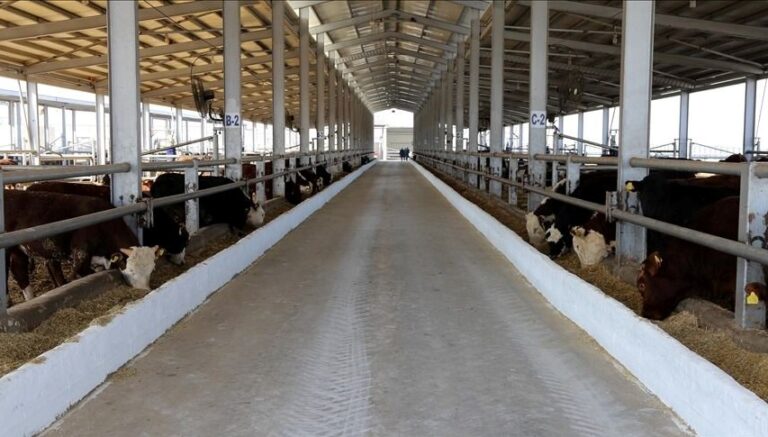 Sivas’ta şap hastalığı tedbiri: Hayvan pazarları kapatıldı Sivas’ta şap hastalığı tedbiri: Hayvan pazarları kapatıldı