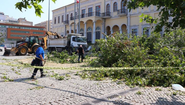 Tarihi Kemeraltı Çarşısı girişindeki asırlık çınar devrildi Tarihi Kemeraltı Çarşısı girişindeki asırlık çınar devrildi