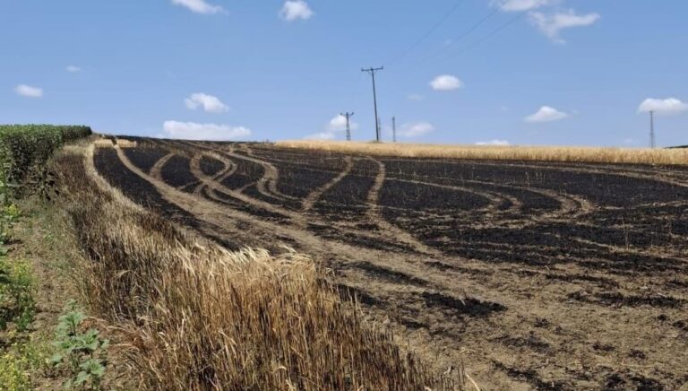 Tekirdağ’da arpa tarlasında yangın Tekirdağ’da arpa tarlasında yangın