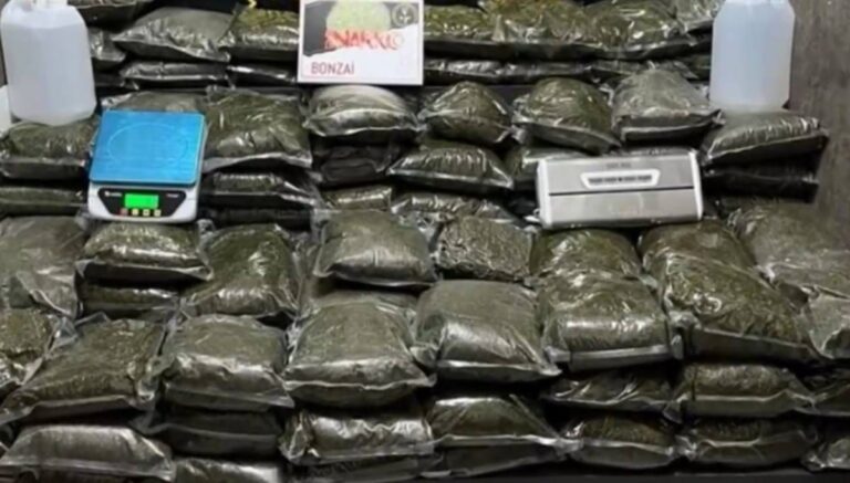 Üç ilde 397,5 kilogram uyuşturucu ele geçirildi Üç ilde 397,5 kilogram uyuşturucu ele geçirildi
