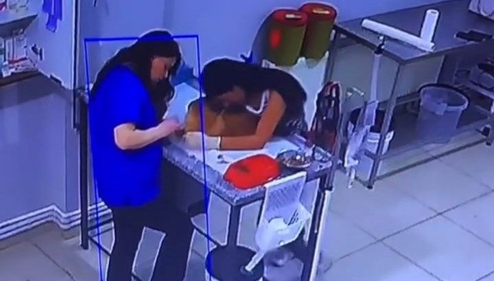 Veterinerde panik: Köpeğini muayene ettirirken bayıldı Veterinerde panik: Köpeğini muayene ettirirken bayıldı